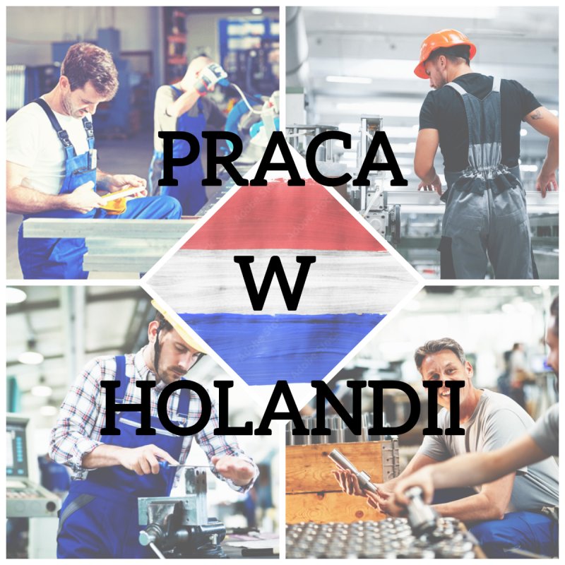 Order Picker praca w Holandii