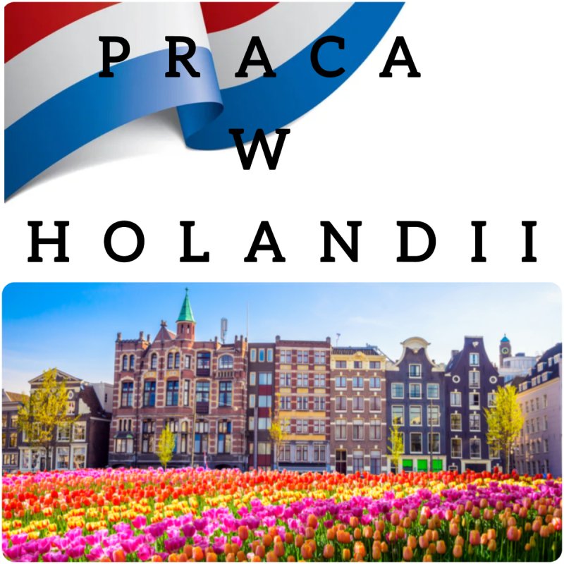 Utrzymanie, pielęgnacja ogrodów Holandia