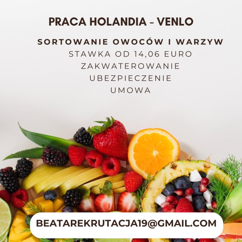 Szklarnie/Sortownie Holandia Bez Języka