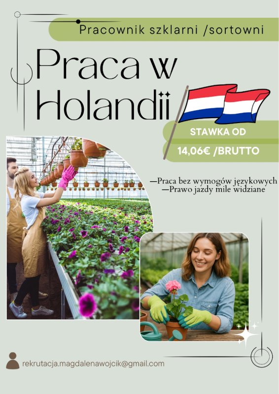 Praca w Holandii! od zaraz